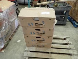 (4) Unused Western Pottery L350 Center Drain Countertop Sinks, 21 In. x 15 In. (R23)