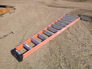 12 Ft. Werner Step Ladder (OS)
