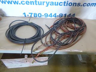 Weldcraft Flex Head TIG Torch and Purge Hose (D2)