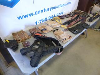 Qty of  Tool Belts, Harness and Accessories  (S12)