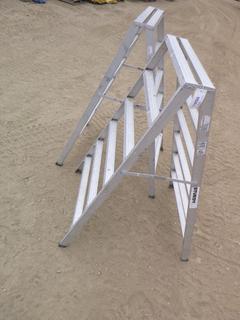 (2) Sturdy Inc. 6 Ft Construction Ladders