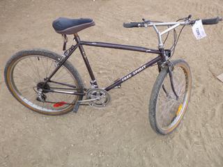 Free Spirit 12 Speed Bike