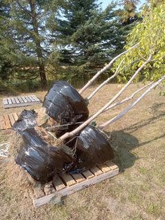 (5) Manitoba Maple Trees, Approx. 11-12 Ft. Tall and Vary Between 45mm-50mm Caliper, Dug In Spring 2022 **Located Offsite Near Athabasca, For More Information Contact Connor at 780-218-4493**
