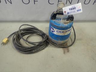 2 In. Submersible Pump (F-2)