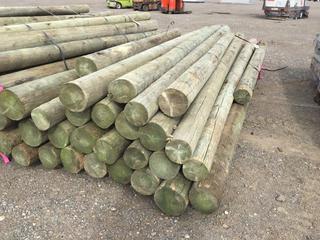 Quantity Green Pressure Treated Posts Approximately 4-6 In x 12 ft., Control # 9226.