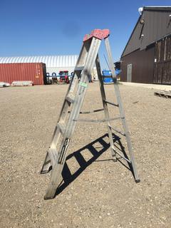 5 Ft. Aluminum Step Ladder.