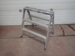 Sturdy 3ft Aluminum Step Ladder