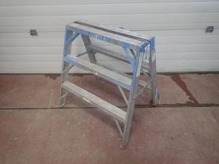 Werner 3ft Aluminum Step Ladder