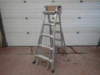 Werner 21ft Multi-Purpose Ladder