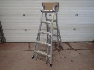 Werner 21ft Multi-Purpose Step Ladder