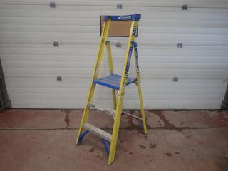 Werner 3ft Step Ladder