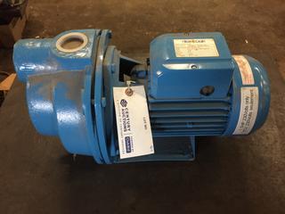 Burcam 700506 1.5hp, 230V Portable Transfer Pump