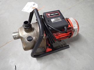 Red Lion RJSE-75SS Stainless Steel Sprinkler Utility Pump 115V 6.5A.