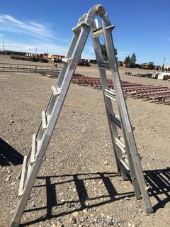 Little Giant Folding Aluminum Step Ladder or Straight Ladder.