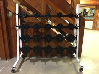 Equalizer Weight Plate Rack c/w 2 1/2lb-10lb Weights & Clips.