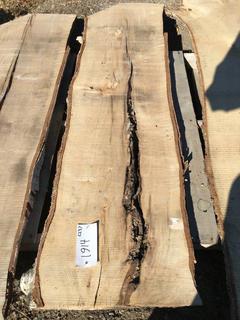 (1) Pc Live Edge Paper Birch Slab, Approximately 5ft Long.