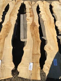 (1) Pc Live Edge Maple Slab, Approximately 7ft Long.