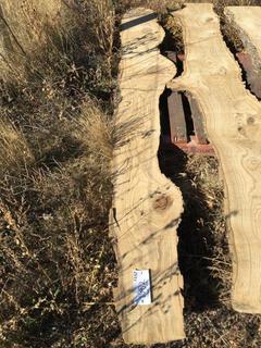 (1) Pc Live Edge Green Ash Slab, Approximately 8-1/2ft Long.