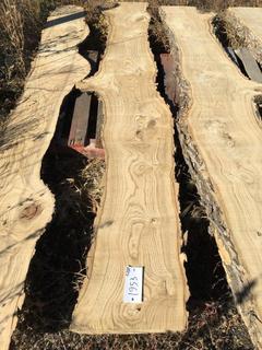 (1) Pc Live Edge Green Ash Slab, Approximately 8-1/2ft Long.