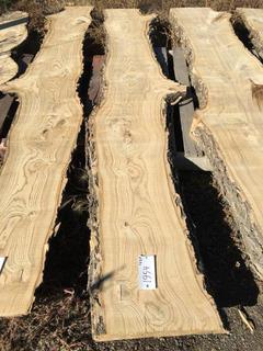 (1) Pc Live Edge Green Ash Slab, Approximately 8-1/2ft Long.