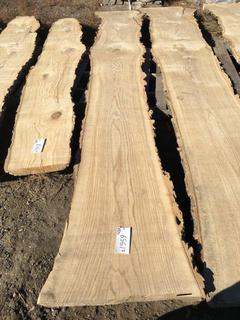 (1) Pc Live Edge Green Ash Slab, Approximately 12ft Long.