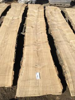 (1) Pc Live Edge Green Ash Slab, Approximately 12ft Long.