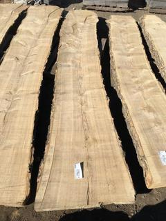 (1) Pc Live Edge Green Ash Slab, Approximately 12ft Long.