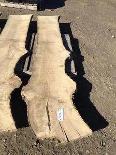 (1) Pc Live Edge Green Ash Slab, Approximately 8-1/2ft Long.