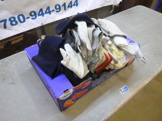 Unused and Used Gloves and Winter Wear (G-2)