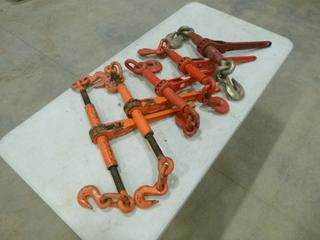 (5) Chain Ratchet Load Binders, Various Sizes