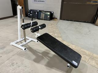 Apex Decline Bench.