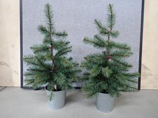 (2) Mini Decorative Potted Trees.