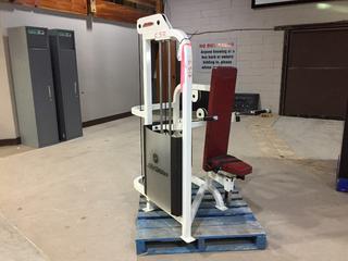 Life Fitness CU66 Seated Dip Machine with 220lb Weight Stack, S/N 70201.