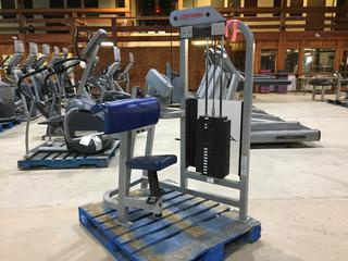 Life Fitness  SU75 Arm Curl Machine with 190lb Weight Stack, S/N 05361.