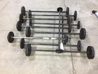 Assorted Barbell Weights.