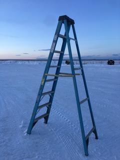 Werner 8ft Fiberglass Step Ladder.