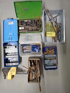 Bin of Assorted Drill Bits, Allan Keys, Screwdrivers, Etc.