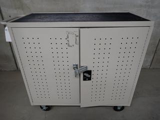 Mobile Metal Storage Cabinet with 2-Sided Door Locks, Approx. 42in x 20in x 41in.