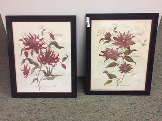 (2) Botanical Framed Prints.