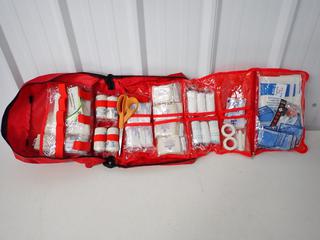 First Aid Kit in Nylon Bag. (4-T-2)