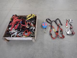 Assorted Fall Protection Harnesses, Retractable Lifelines, Lanyards, Etc. (8-A-3)