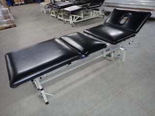 3-Section Elevation Therapy/Exam Table. (WH)