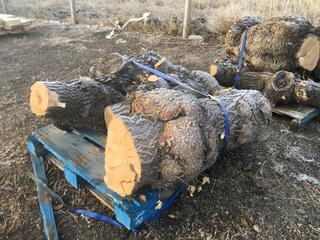 (3) Short Logs with Burls.