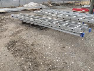 Aluminum 20ft Extension Ladder.