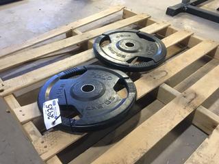 (2) Euro Grip 45lb Weight Plates. (AUD)