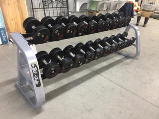 Precor Dumbbell Rack with 45-75lb Dumbbells, S/N B888J20080058. (WH)