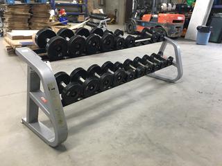 Precor Dumbbell Rack with 20-40lb Dumbbells, S/N B888J20080057. (WH)