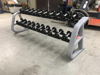 Precor Dumbbell Rack with 5-17.5lb Dumbbells, S/N B888J20080063. (WH)