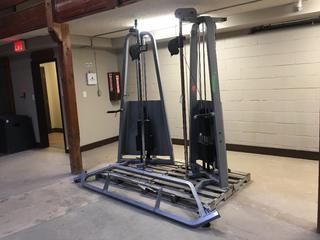 Precor Functional Training System with (2) 150lb Weight Stacks,  Model BERPD29090002.  (AU)
