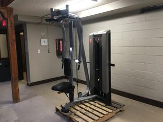 Precor C-Line Rear Delt/Pectoral Fly with 250lb Weight Stack, S/N BPCPD29090001.  (AU)